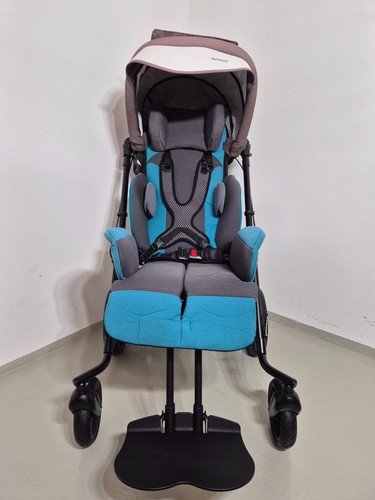 Reha buggy kind - reha,